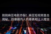刚刚麻豆电影炸裂！麻豆短视频直击揭秘，劲爆圈内人内幕真相让人瞠目