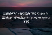 网曝麻豆在线观看麻豆短视频热点，震撼网红细节真相大白让你全网热议不断