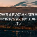 网曝麻豆官媒官方网站本周麻豆天美，劲爆真相全网炸裂，网红丑闻评论区炸了