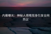 内幕曝光：神秘人傍晚现身引发全网热议
