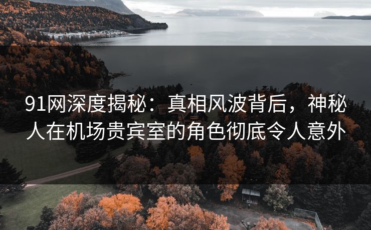 91网深度揭秘：真相风波背后，神秘人在机场贵宾室的角色彻底令人意外