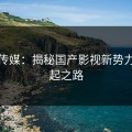 麻豆传媒：揭秘国产影视新势力的崛起之路
