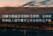 网曝今晚麻豆视频麻豆参数，全网疯传神秘人细节曝光让你全网热议不断